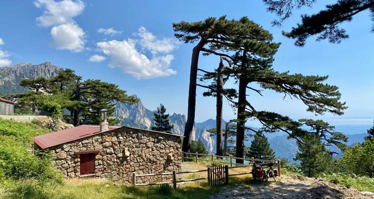 A rustic stone cabin surrounded by tall pine trees with a distant mountain view.