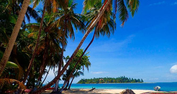 Een zandstrand met palmbomen en een klein eiland in de verte.