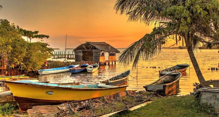 Boten aangemeerd bij een rustieke steiger bij zonsondergang met een palmboom.