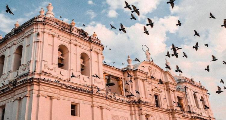 A historic cathedral with birds flying against an evening sky.