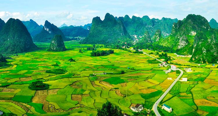 Broad patchwork of golden rice paddies framed by dramatic karst hills under a light sky.