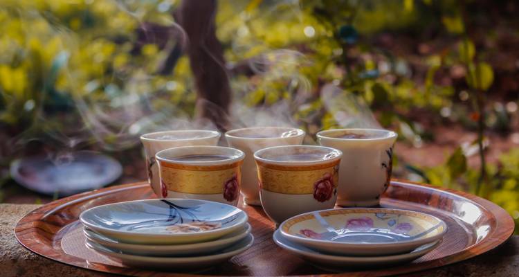 Plateau de tasses à café fumantes avec soucoupes disposé en plein air dans une lumière naturelle chaleureuse entouré de verdure.