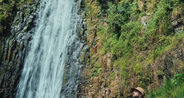 Voyageur portant un chapeau admirant une haute cascade de jungle tombant d'une falaise rocheuse couverte de mousse.