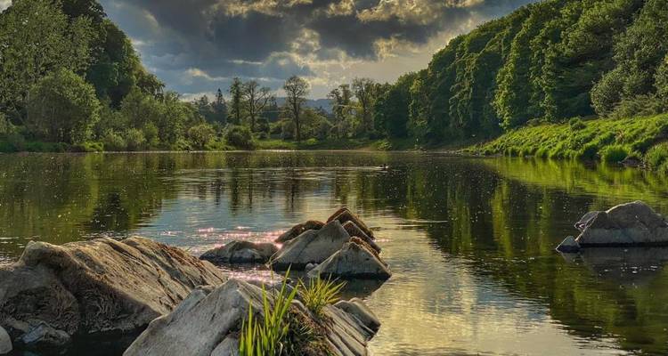 Rivière calme avec des rochers et des arbres sous un ciel nuageux.