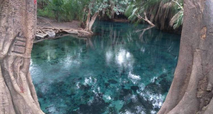 Bassin naturel turquoise encadré par des racines d'arbres et du feuillage par une journée nuageuse