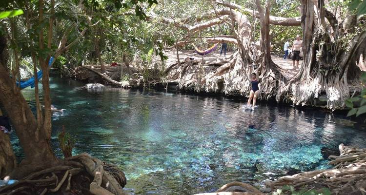 Une personne saute d'une corde dans un bassin forestier cristallin tandis que d'autres se détendent à proximité