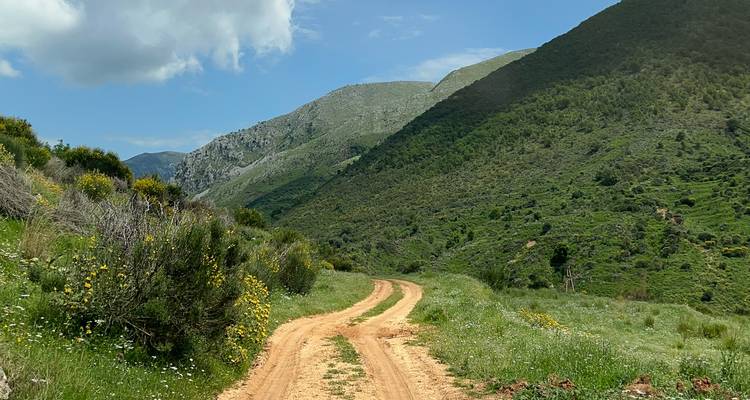 Route traversant un paysage vallonné verdoyant, ciel partiellement nuageux visible.