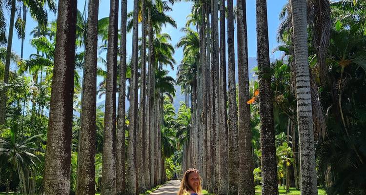 Personne debout sur un sentier bordé de grands palmiers.