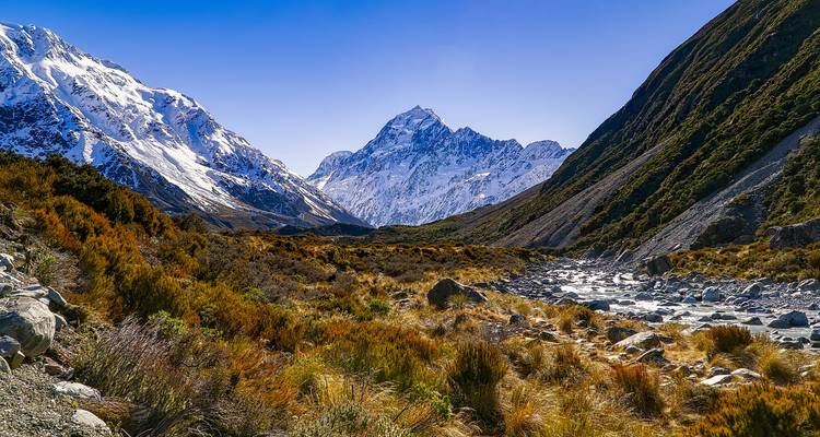 Snow-capped mountain in the distance with a rocky foreground and vibrant vegetation.