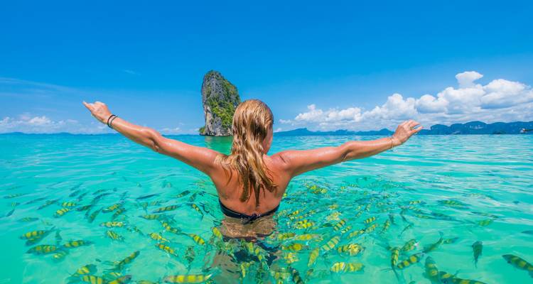 Personne nageant avec des poissons colorés dans des eaux tropicales claires.