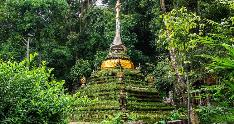Stupa couvert de mousse verte situé dans une forêt luxuriante.