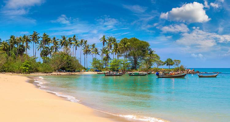 Plage pittoresque avec des bateaux à longue queue et des palmiers.