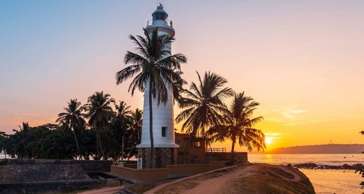 Faro rodeado de palmeras al atardecer.