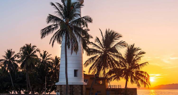 Un phare blanc se dessine en silhouette contre un coucher de soleil orange vif encadré par des palmiers qui se balancent sur la côte