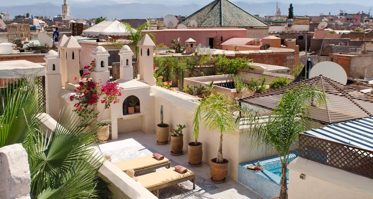 Terrasse sur le toit avec chaises longues, fleurs colorées et une petite piscine.