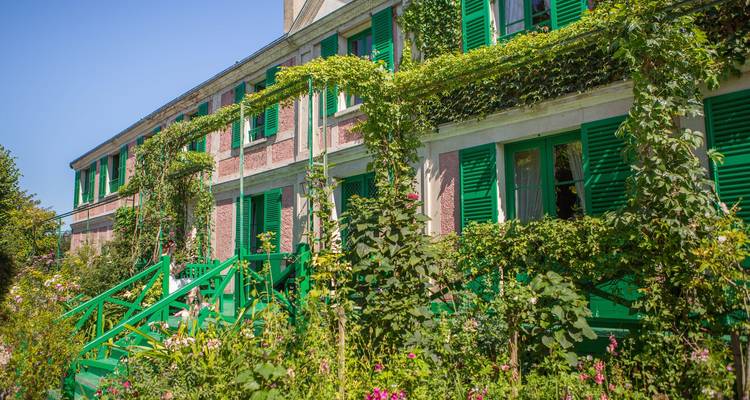 House covered in lush greenery with many windows.