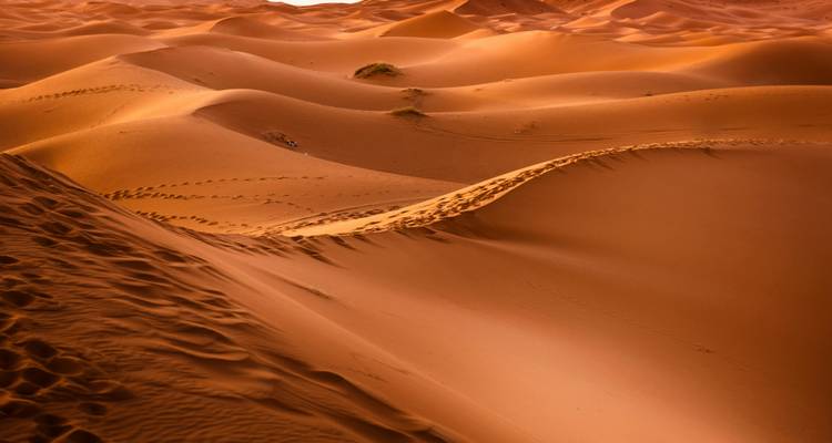Dunes de sable dans un désert avec des empreintes de pas visibles.