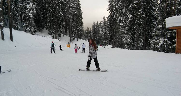 Des gens qui skient sur une pente enneigée entourée d'arbres.