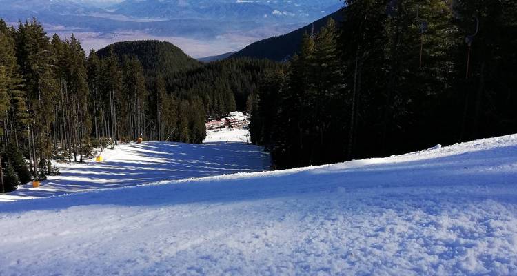 Vue en contrebas d'une piste de ski avec une forêt dense sur les côtés.