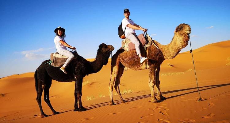 Dos personas montando camellos en el desierto.