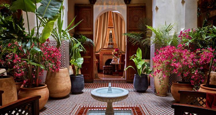Un interior marroquí tradicional bellamente decorado con plantas vibrantes y decoración colorida.