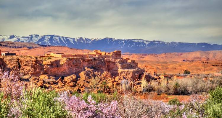 Un paysage désertique avec des montagnes et des amandiers en fleurs.
