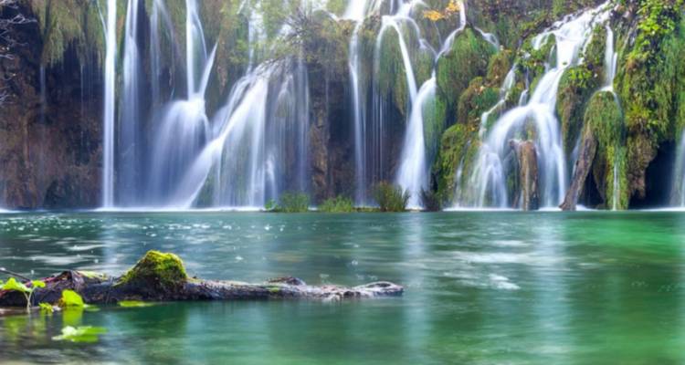 Belle cascade s'écoulant dans un bassin turquoise serein, entourée d'une végétation luxuriante.