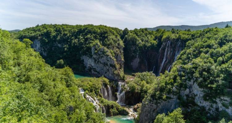 Vue panoramique de cascades au milieu d'un paysage verdoyant et luxuriant.