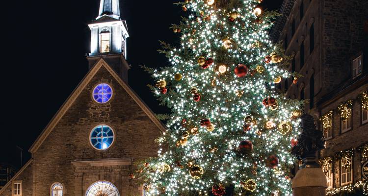 Grand sapin de Noël décoré devant une église historique la nuit.
