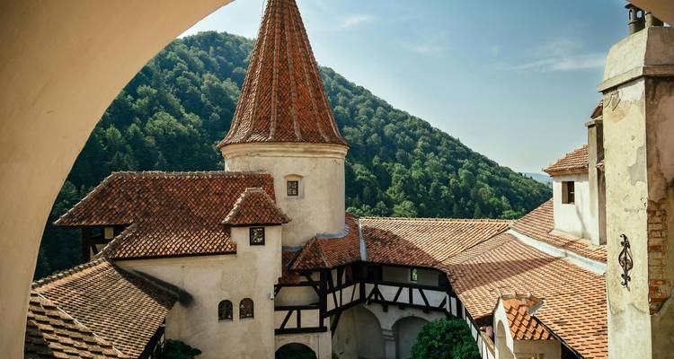 Vue du château de Bran entouré de collines verdoyantes par une journée claire.
