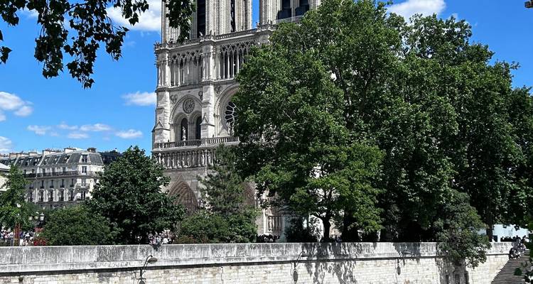 La Catedral de Notre-Dame parcialmente oculta detrás de árboles frondosos en un día soleado.