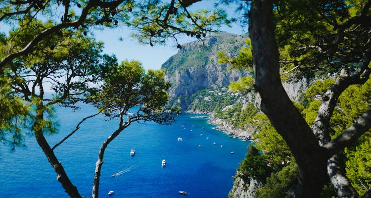 Belle vue côtière avec des arbres encadrant la mer bleue.