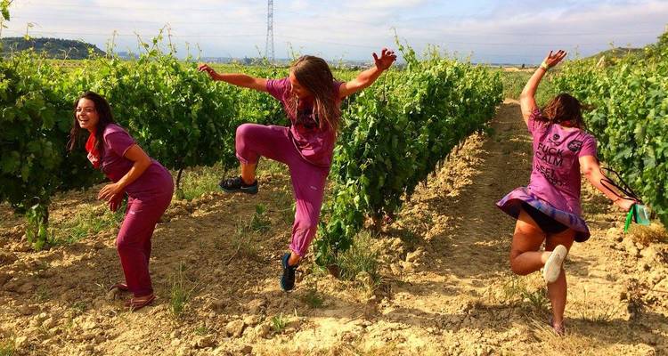 Des gens qui dansent et s'amusent dans un vignoble.