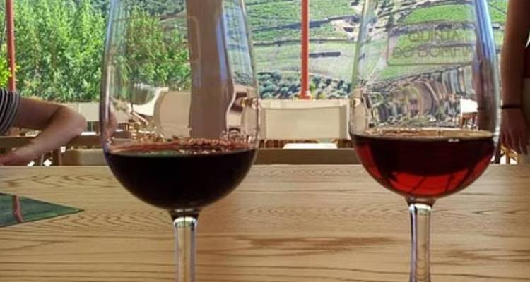 Deux verres de vin sur une table avec vue sur le vignoble.