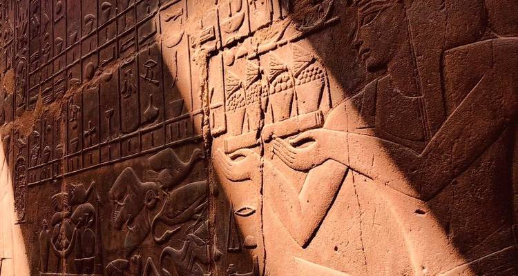 Vue détaillée de reliefs muraux égyptiens sculptés représentant des figures et des symboles.