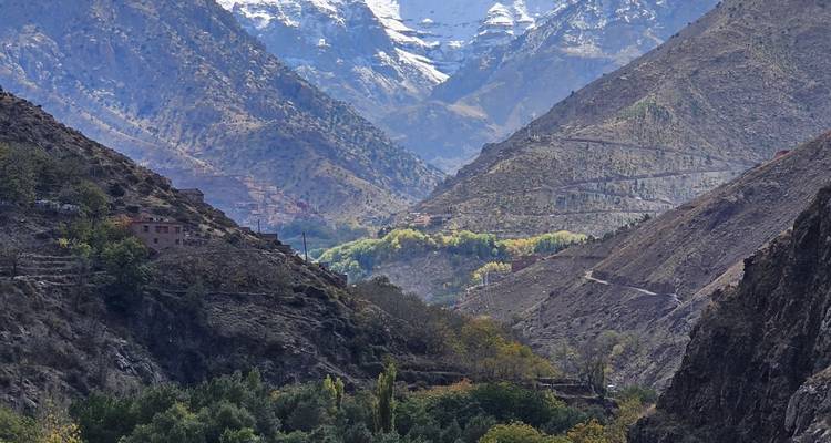 Montagnes enneigées avec vallées et verdure.