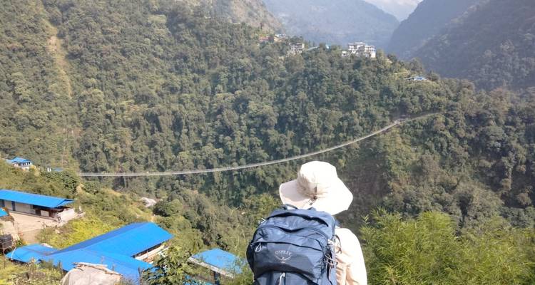 Un randonneur regardant un pont suspendu au-dessus d'une vallée.