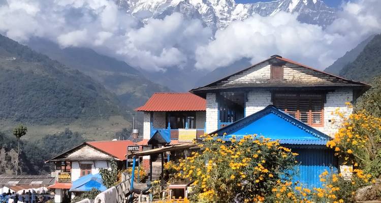 Maisons colorées avec un décor montagneux et des fleurs au premier plan.