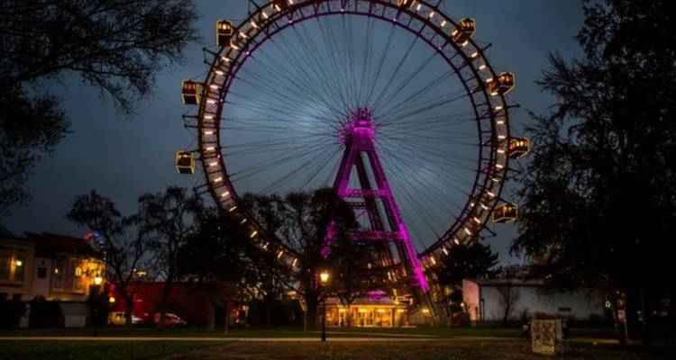 Illuminated Ferris wheel in a park at night.