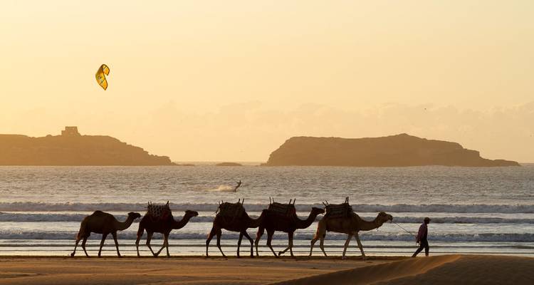 Une personne menant une file de chameaux le long de la plage au coucher du soleil.