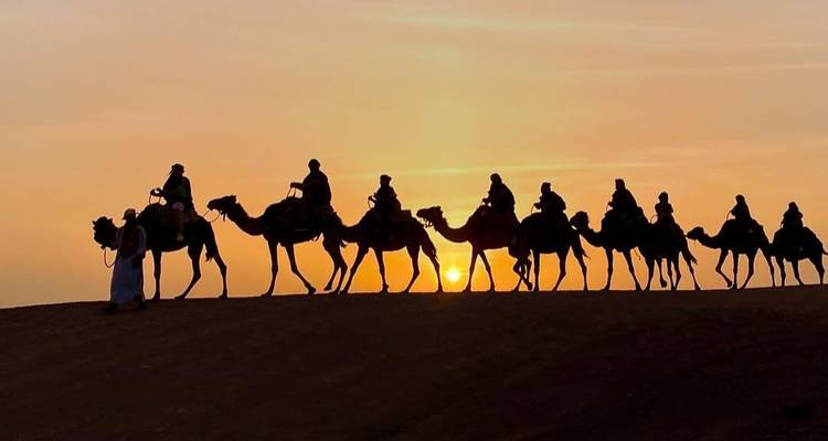 Silueta de camellos y personas contra un fondo de atardecer.