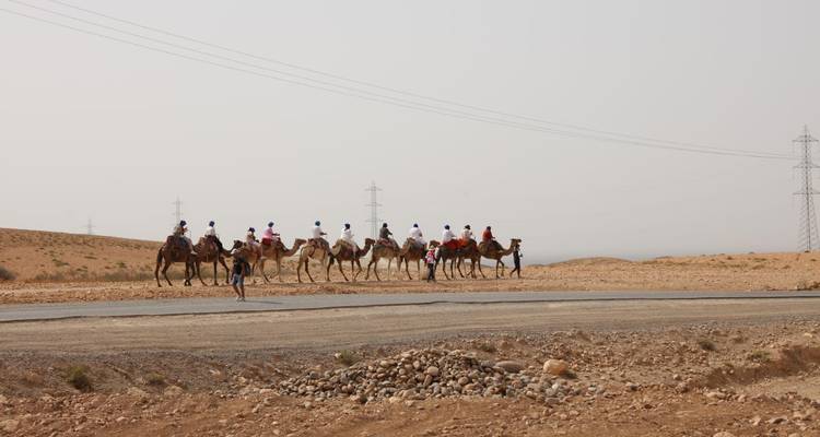 Caravana de camellos caminando por un camino del desierto.
