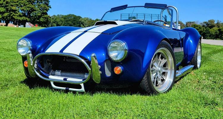 Blau-weißer Sportwagen auf Gras geparkt.