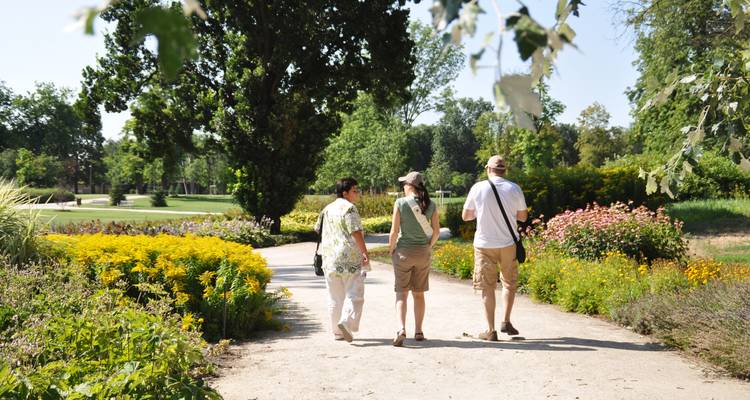 Pequeños grupos pasean por un sendero del jardín bordeado de flores de verano brillantes.