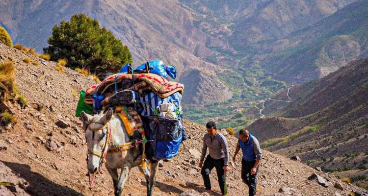 Deux hommes guidant un âne portant des marchandises sur le flanc d'une montagne.