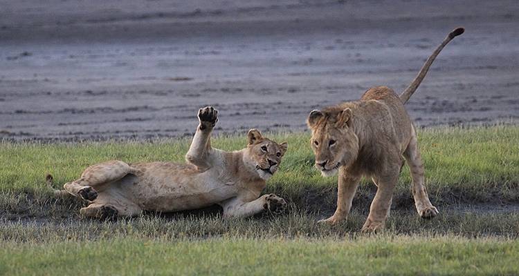 Aventure au Kenya et en Tanzanie - Exodus Adventure Travels 10