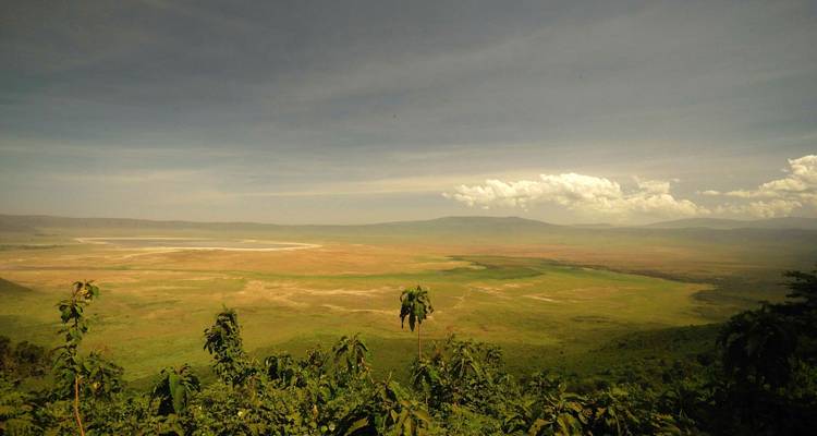 Vue large d'un paysage de savane avec des montagnes au loin.