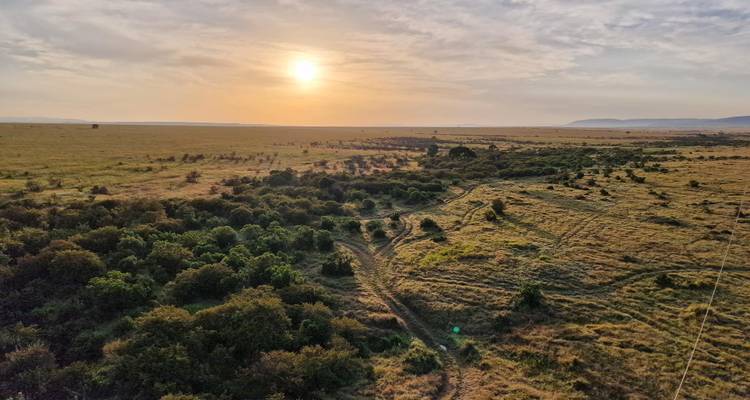 Luchtfoto bij zonsopgang boven oneindige savanne met de opkomende zon die warm licht uitstraalt.