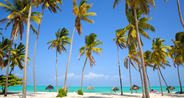 Les grands cocotiers s'élèvent au-dessus du sable blanc et de la mer turquoise sous un ciel bleu éclatant.