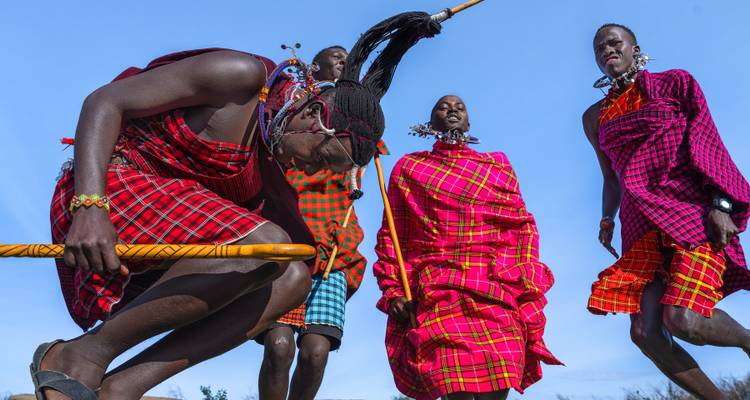Vue en contre-plongée de danseurs Maasai en shukas à carreaux éclatants sautant sur un ciel dégagé.